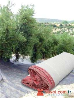 zeytin cuval kuması